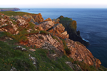 Lion Rock and Lizard Point, The Lizard, Cornwall, England, United Kingdom, Europe