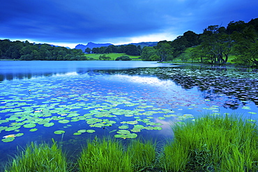 Loughrigg Tarn, Lake District National Park, Cumbria, England, United Kingdom, Europe