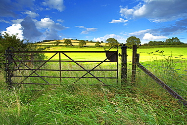 Old Railway Gate, Exe Valley, Devon, England, United Kingdom, Europe