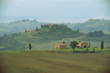 Rural landscape, Tuscany, Italy, Europe