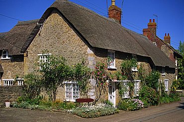 Thatched cottages with roses on the walls at Burton Bradstock in Dorset, England, United Kingdom, Europe