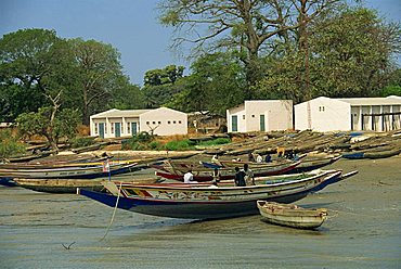 Fishing boats pulled up onto beach, Albreda, Gambia, West Africa, Africa