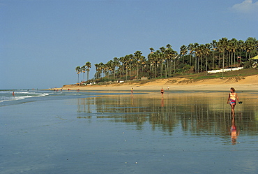 Kotu Beach, Gambia, West Africa, Africa