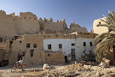 Old town of Shali, Oasis of Siwa, Egypt, North Africa, Africa