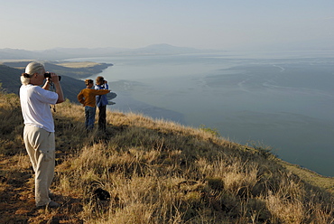 Lake Chamo, Nechisar National Park, Ethiopia, Africa