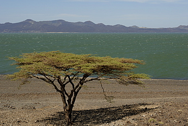 Lake Turkana, Kenya, East Africa, Africa