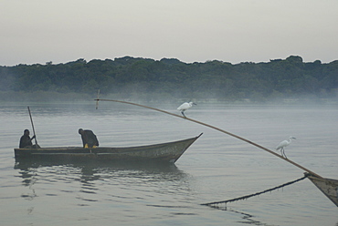 Bugala Island, Lake Victoria, Uganda, East Africa, Africa