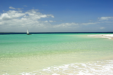 Dhow, Pangani, near Tanga, Tanzania, East Africa, Africa