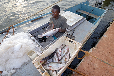 Fisherman on the Nile, Bukoba, Tanzania, East Africa, Africa