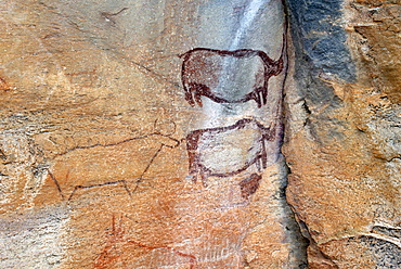 Rock paintings approx. 4000 years old, Tsodilo Hills, UNESCO World Heritage Site, Botswana, Africa