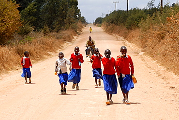 Schoolchildren in uniform on dirt road, Tanzania, East Africa, Africa