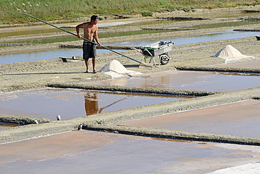 Salt pans, St. Martin de Re, Ile de Re, Charente-Maritime, Poitou-Charentes, France, Europe