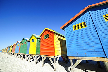 Colourful beach huts, Muizenberg, Cape Province, South Africa, Africa