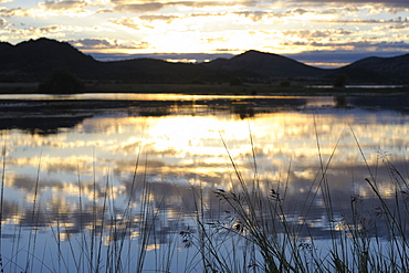 Central lake, early morning, Pilanesberg National Park, Sun City, South Africa, Africa