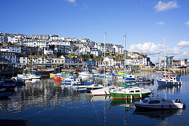 Harbour, Brixham, Devon, England, United Kingdom