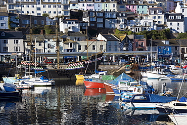 Harbour, Brixham, Devon, England, United Kingdom