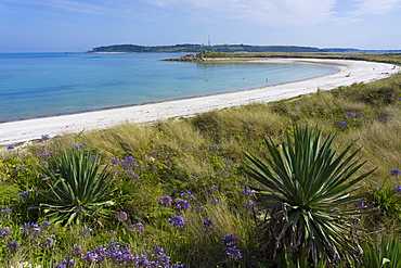 Beach on Tresco island, Scilly Isles, United Kingdom, Europe