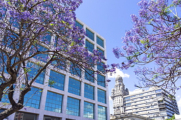 Centre of town and Palacio Salvo, Montevideo, Uruguay, South America