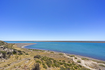 Peninsula Valdes, UNESCO World Heritage Site, Argentina, South America