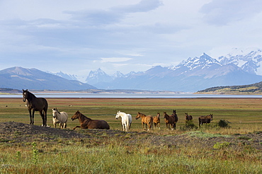 Los Glaciares National Park, UNESCO World Heritage Site, Patagonia, Argentina, South America