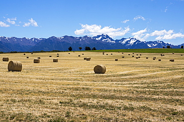 Hay field in the landscape, Patagonia, Argentina, South America