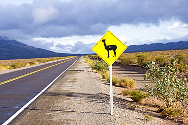 Guanaco sign, Argentina, South America