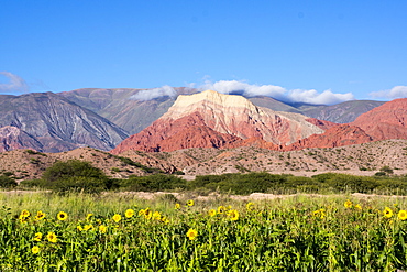 Coloured mountains, Salta district, Argentina, South America