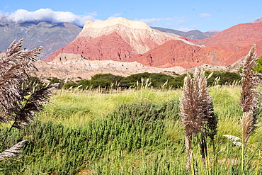 Coloured mountains, Salta district, Argentina, South America