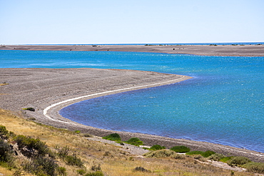 Park Valdes, Peninsula Valdes, UNESCO World Heritage Site, Argentina, South America