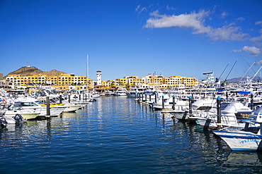 Cabo San Lucas Marina, Baja California, Mexico, North America