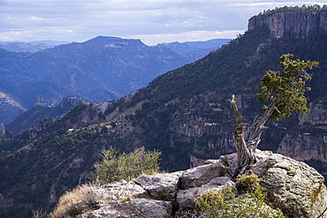 Divisadero, Copper Canyon, larger and deeper than the Grand Canyon, Mexico, North America