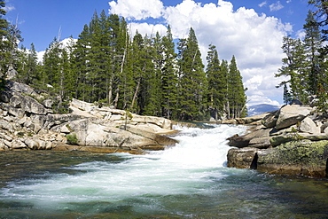 River Tuolumne adjacent to Yosemite National Park, California, United States of America, North America