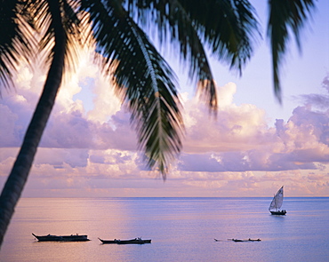 Looking out on the Indian Ocean, Zanzibar, Tanzania, East Africa, Africa