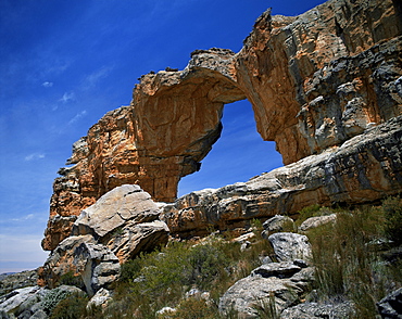 Cederberg, Western Cape province, South Africa, Africa