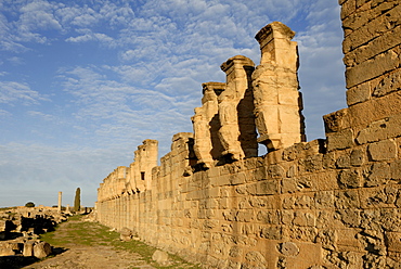 Skyrota, Cyrene, UNESCO World Heritage Site, Libya, North Africa, Africa