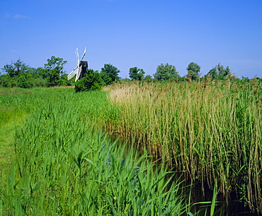 Wicken Fen and Wind pump, Cambridgeshire, England