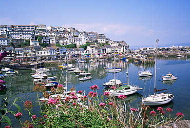 Brixham harbour, Devon, England, United Kingdom, Europe