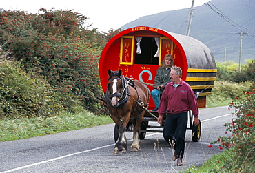 Horse-drawn gypsy caravan, Dingle Peninsula, County Kerry, Munster, Eire (Ireland), Europe