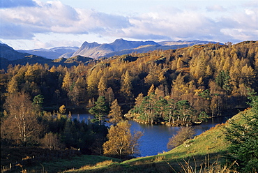 Tarn Hows, Lake District National Park, Cumbria, England, United Kingdom, Europe