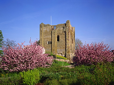 Guildford Castle, Surrey, England, United Kingdom, Europe