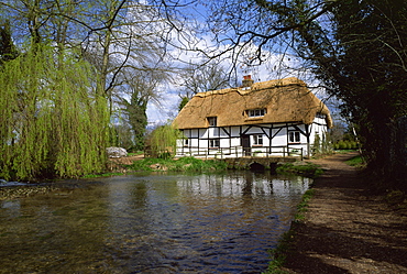 Riverside thatched cottage, New Alresford, Hampshire, England, United Kingdom, Europe