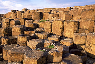 The Giants Causeway, UNESCO World Heritage Site, Co. Antrim, Ulster, Northern Ireland, United Kingdom, Europe