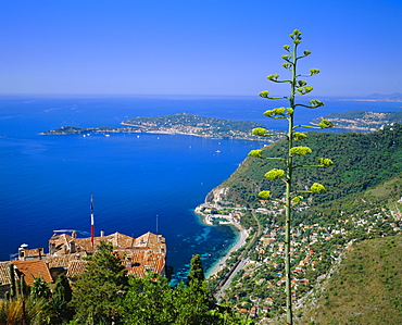 Eze and St. Jean-Cap-Ferrat, Cote d'Azur, Provence, France, Europe