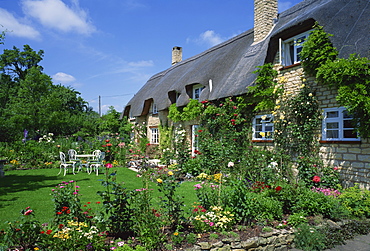 Thatched cottages with roses on the walls and gardens with summer flowers in the Cotswolds, Gloucestershire, England, United Kingdom, Europe