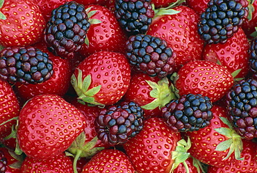 Strawberries and blackberries, England, United Kingdom, Europe