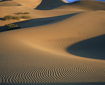 Sand dunes, Death Valley National Park, California, USA, North America