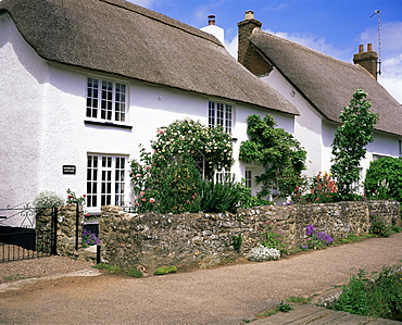 Thatched cottages, Otterton, south Devon, England, United Kingdom, Europe