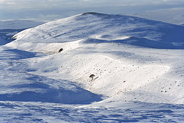 The Cairngorms in winter, (used for skiing), Highlands, Scotland, UK