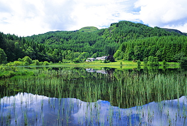 Reflections in Loch Dhu, The Trossachs, near Aberfoyle, Stirling (Central), Scotland, UK, Europe