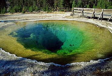 Morning Glory spring, Yellowstone National Park, UNESCO World Heritage Site, Wyoming, United States of America, North America